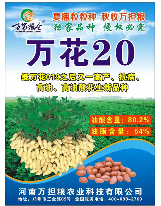 è¬èŠ±20-èŠ±ç”Ÿç¨®å­-è¬æ“”(dÄn)ç³§