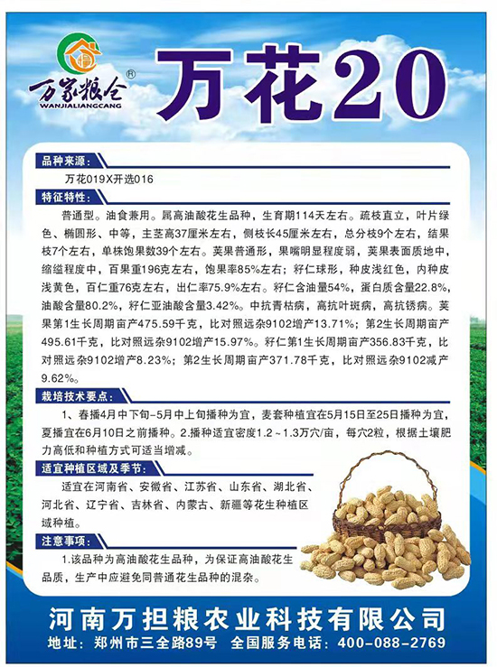 è¬èŠ±20-èŠ±ç”Ÿç¨®å­-è¬æ“”(dÄn)ç³§