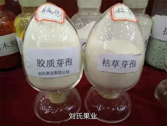 寰俊鍥劇墖_20211130095507.jpg