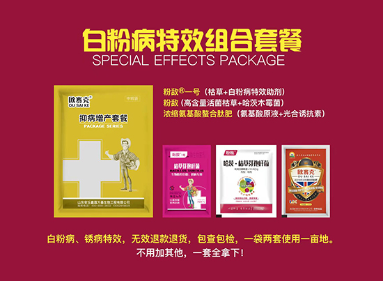 鐧界矇鐥呯粍鍚堝槨?鍢夐湒涓囧熀.jpg