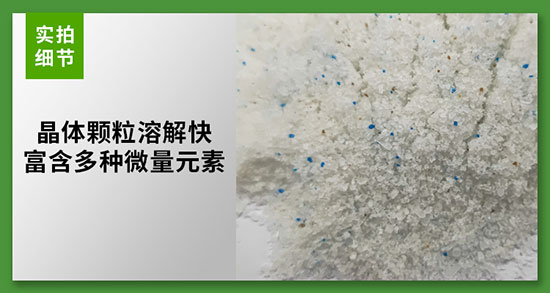 瀹炴媿緇嗚å¦.jpg 瀹炴媿緇嗚å¦.jpg