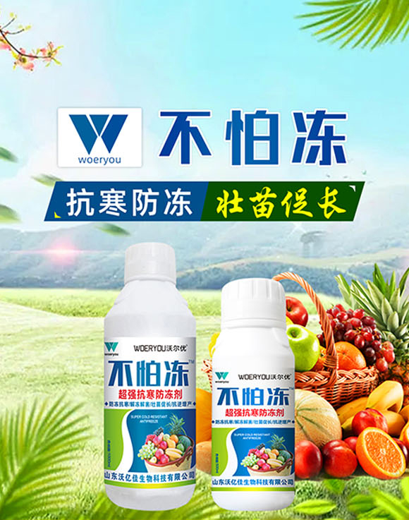 涓嶆€曞喕-娌冧嚎浣砡01.jpg