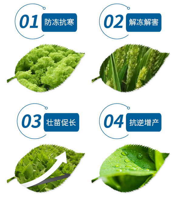 涓嶆€曞喕-娌冧嚎浣砡04.jpg