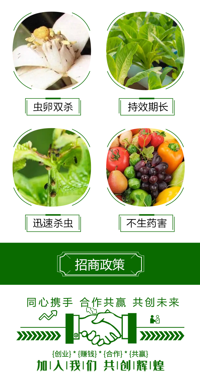 薊無(wú)影-冠瑪生物_05.jpg