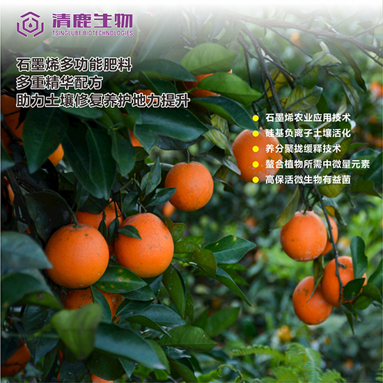 2-é˜ç¹ªæ™±éŽ°ç†»ç˜éã„§æ‚†æ££æ §åž±ç€›æ¥ç‰±.jpg