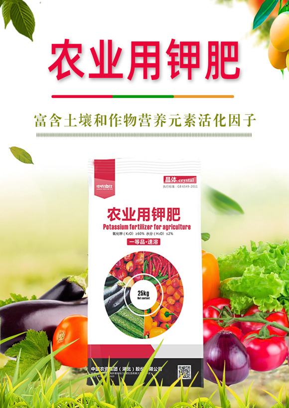 鍐滀笟鐢ㄩ捑鑲?鍐滆祫闆嗗洟_01.jpg