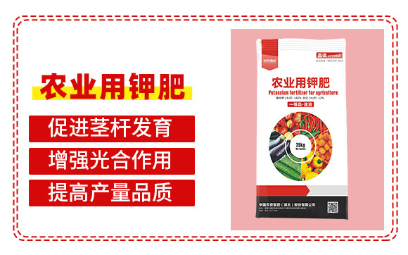 鍐滀笟鐢ㄩ捑鑲?鍐滆祫闆嗗洟_03.jpg