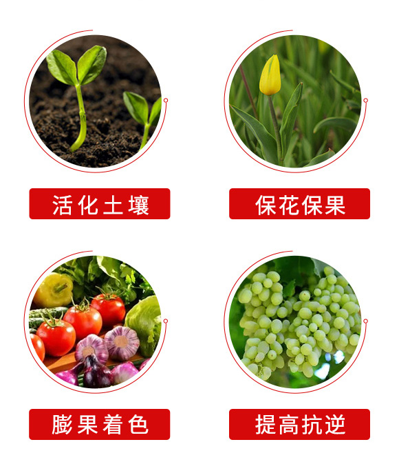 鍐滀笟鐢ㄩ捑鑲?鍐滆祫闆嗗洟_05.jpg