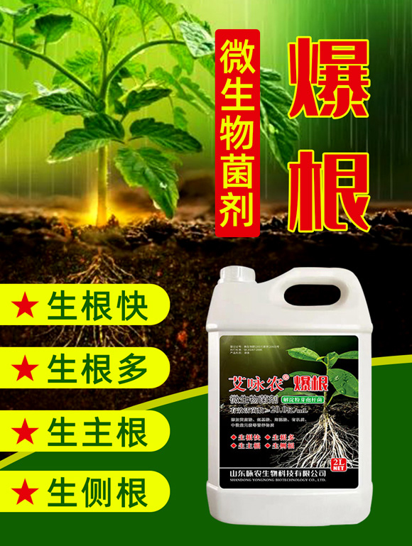 è‰¾è© è¾²(nóng)-佳禾宜農(nóng)_01.jpg è‰¾è© è¾²(nóng)-佳禾宜農(nóng)_01.jpg