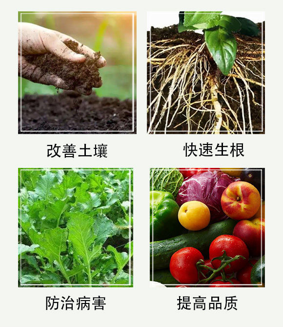 è‰¾è© è¾²(nóng)-佳禾宜農(nóng)_05.jpg è‰¾è© è¾²(nóng)-佳禾宜農(nóng)_05.jpg