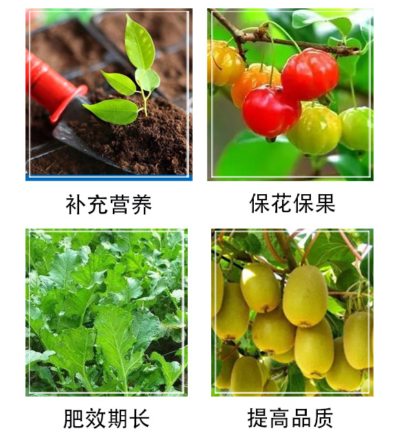 瑞農(nóng)元-中農(nóng)豐澤_04.jpg