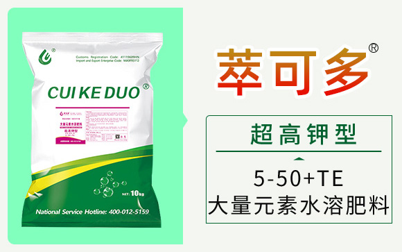 澶ч噺éå†ªç¤Œå§˜å˜æ†¾é‘²ãƒ¦æž¡-钀冨彲澶æ˜03.jpg 澶ч噺éå†ªç¤Œå§˜å˜æ†¾é‘²ãƒ¦æž¡-钀冨彲澶æ˜03.jpg