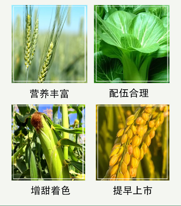 澶ч噺éå†ªç¤Œå§˜å˜æ†¾é‘²ãƒ¦æž¡-钀冨彲澶æ˜05.jpg 澶ч噺éå†ªç¤Œå§˜å˜æ†¾é‘²ãƒ¦æž¡-钀冨彲澶æ˜05.jpg