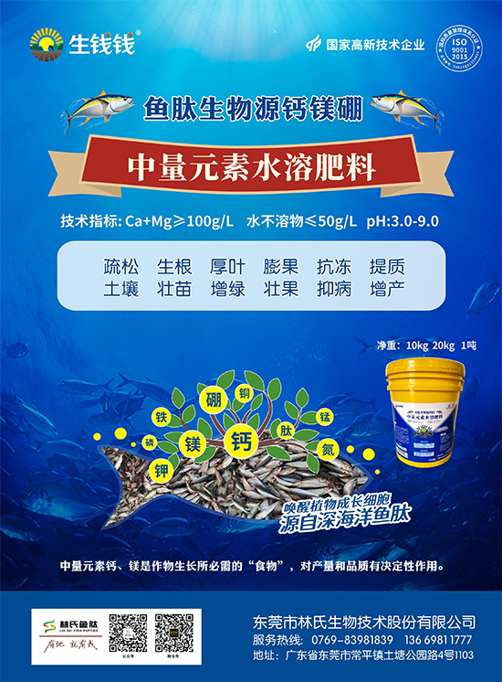 妗夋爲.jpg