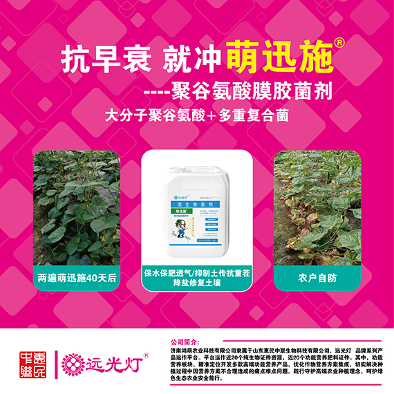 寰俊鍥劇墖_20240221164711.jpg 寰俊鍥劇墖_20240221164711.jpg