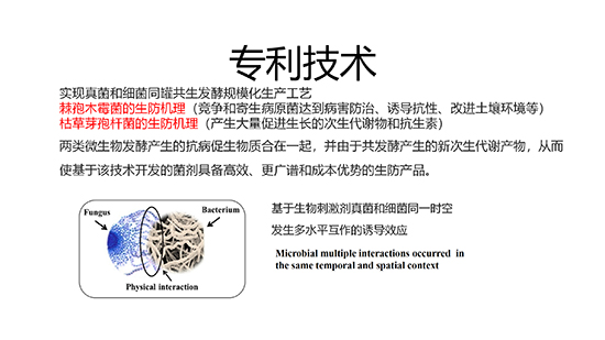 浼婂疂闃垮反澹?--淇濆畾_08.jpg