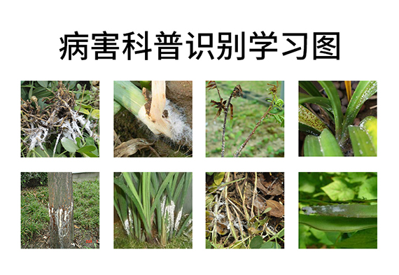 ç’‡ï¸½å„æ¬ç¤¯02.jpg
