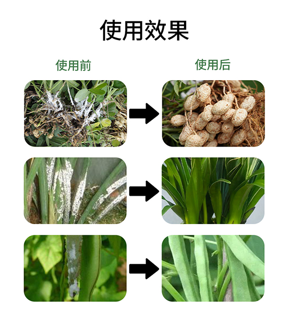ç’‡ï¸½å„æ¬ç¤¯04.jpg