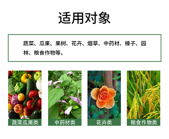 ç’‡ï¸½å„æ¬ç¤¯05.jpg