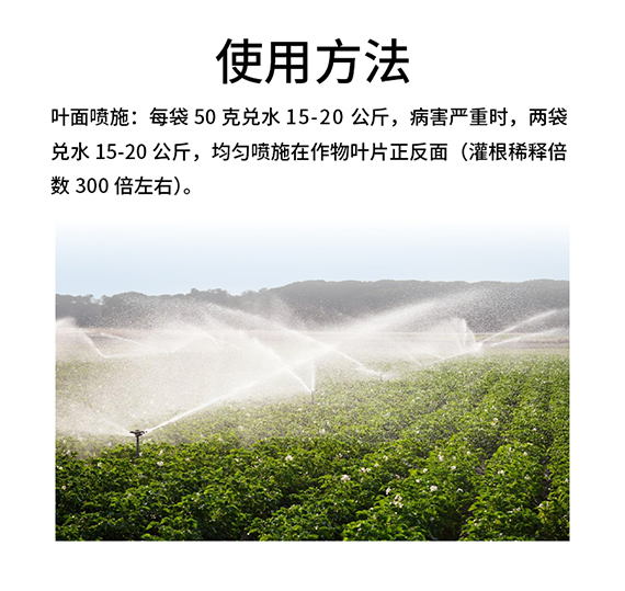 ç’‡ï¸½å„æ¬ç¤¯07.jpg