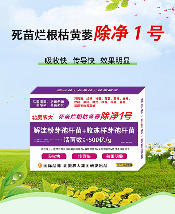 璇︽儏欏礯01.jpg