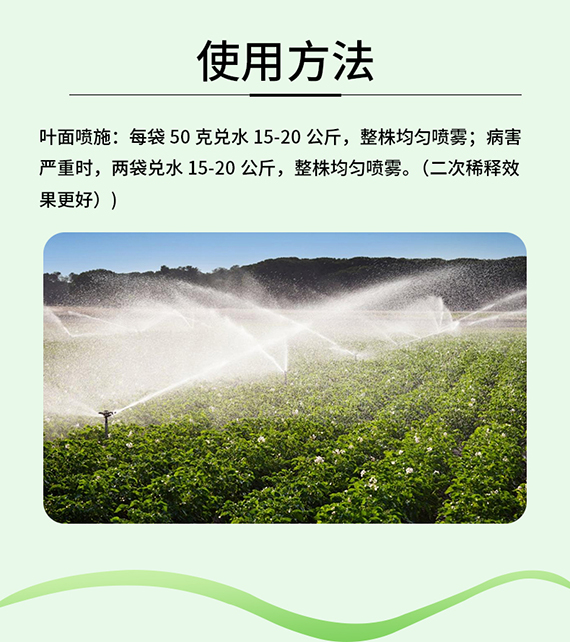 璇︽儏欏礯07.jpg