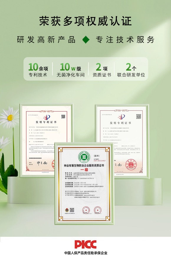 寰叾鏋滃効緹庤鎯呴〉_10.jpg