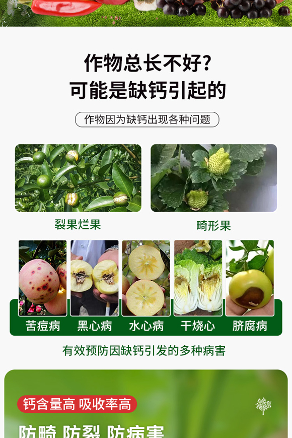 媧誨姏閽欓叾璇︽儏欏礯02.jpg