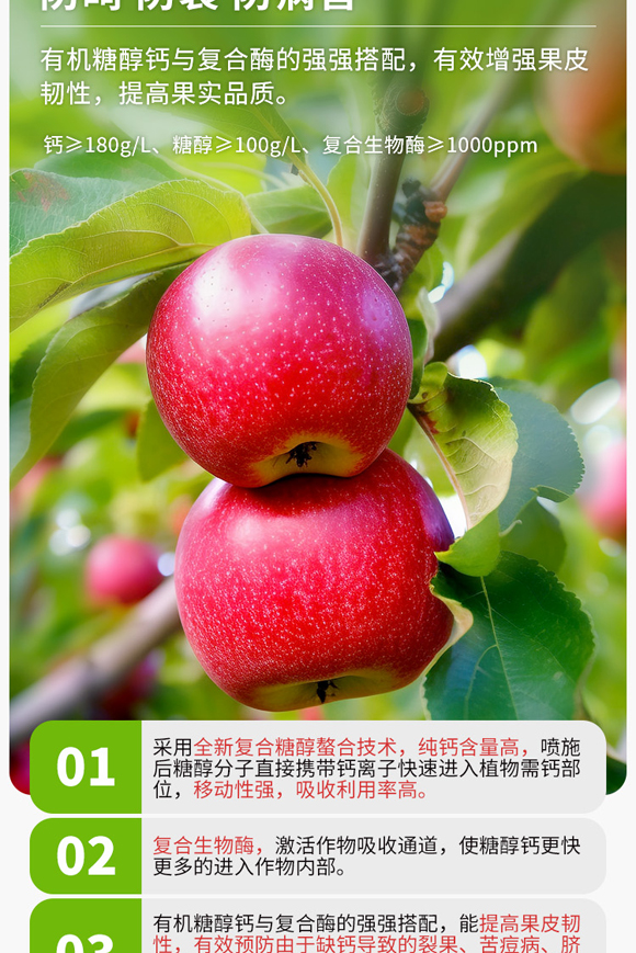 媧誨姏閽欓叾璇︽儏欏礯03.jpg