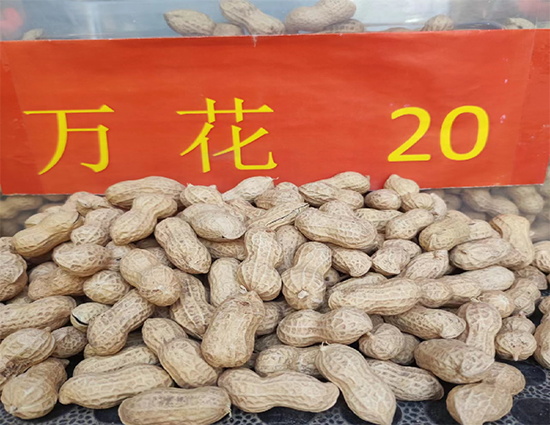 å¯°î†»ä¿Šé¥åŠ‡å¢–_20241224140557.png