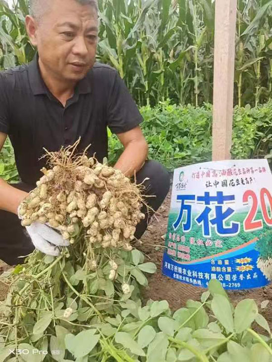 å¯°î†»ä¿Šé¥åŠ‡å¢–_20241224140448.jpg