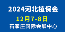 2024ӱֲ(hu)
