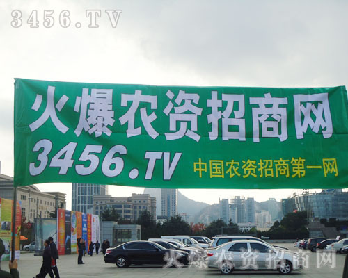 一抹綠色再一次飄過會(huì)場