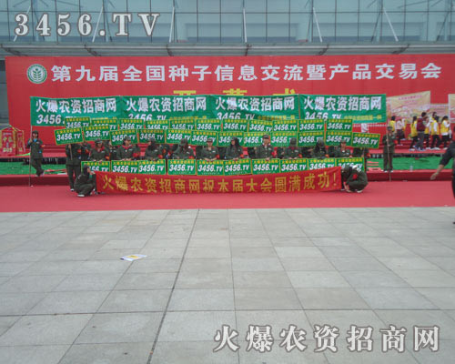 火爆列隊熱情滿懷