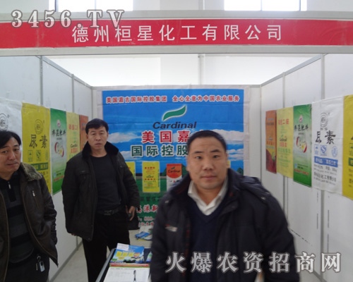德州桓星化工有限公司