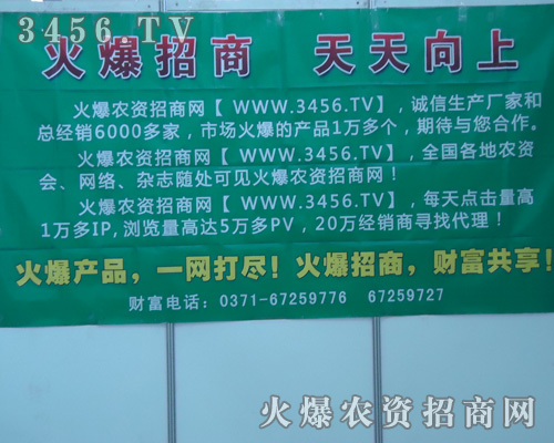 火爆招商 天天向上