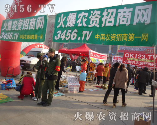 這是一個團結奮進的團隊