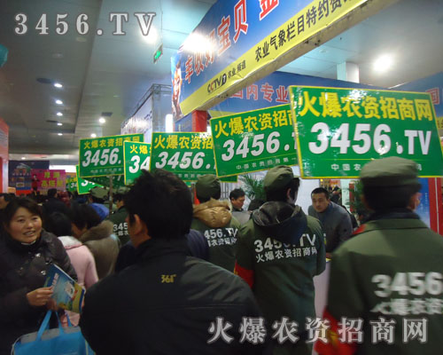 橫看成嶺側(cè)成峰，如標(biāo)槍般聳立的火爆人