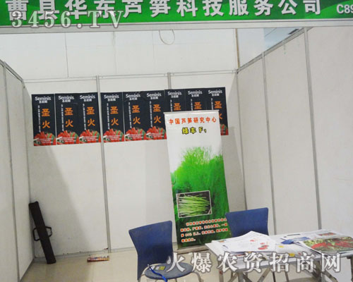 山東曹縣華東蘆筍科技服務(wù)有限公司
