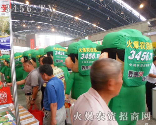 通過卡通氣模寶寶的重磅推廣，火爆網(wǎng)的名氣將更大
