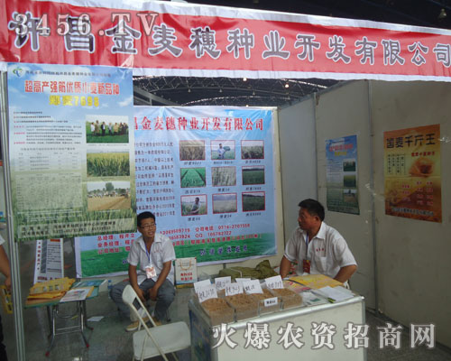 許昌金麥穗種業(yè)開發(fā)有限公司