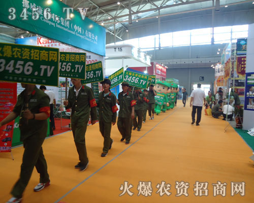 有追求才會走向成功