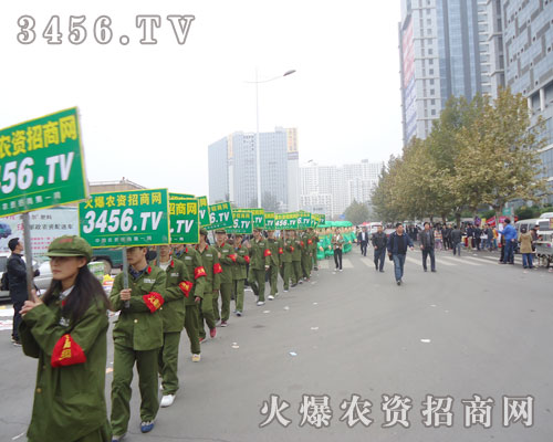 陣容強(qiáng)大的綠色軍裝卡通氣模隊(duì)伍，吸引著眾人的目光