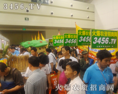 在2013夏季種子交易會的現(xiàn)場火爆人在奮斗