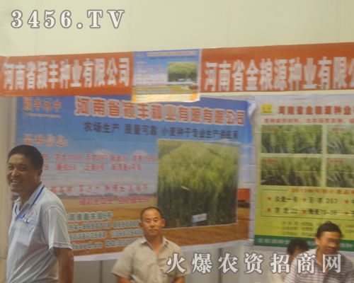 金糧源種業(yè)盛裝參展2013河南夏季種子會(huì)