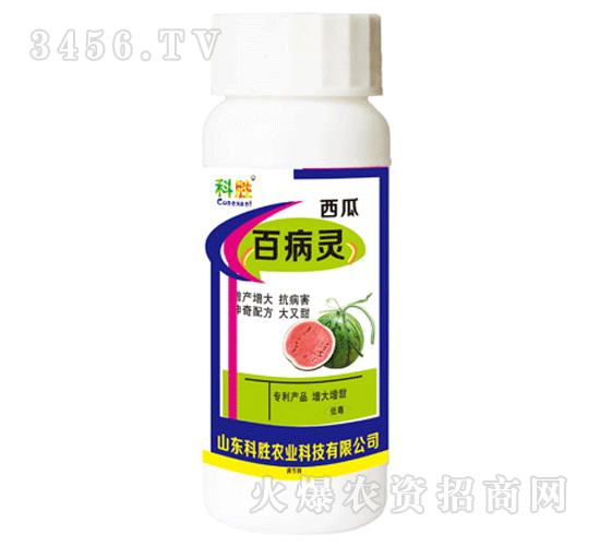 http://www.theradioweb.com/business/keshenshenwu/pro_656575