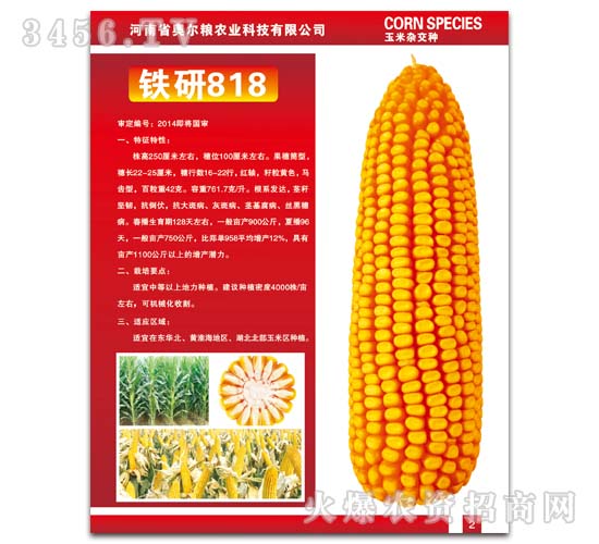鐵研818
