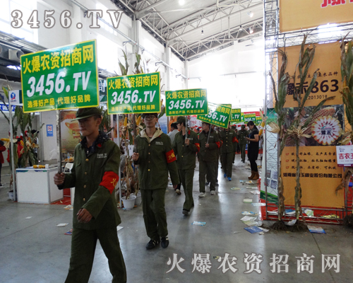 火爆農(nóng)資網(wǎng)的宣傳團(tuán)隊(duì)堅(jiān)守崗位