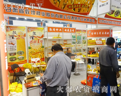 甘肅省敦煌種業(yè)努力拼搏2014鄭州秋季種子會