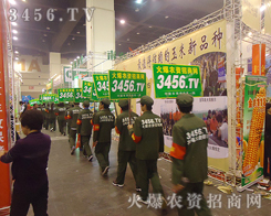 我們用拼搏詮釋了火爆團(tuán)隊(duì)執(zhí)著奮斗的怒放生命